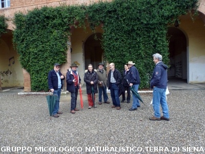 XXIX Comitato Scientifico