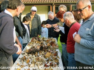 Escursione micologica in località Aratrice
