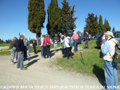 Escursione a Castelvecchio di San Gimignano