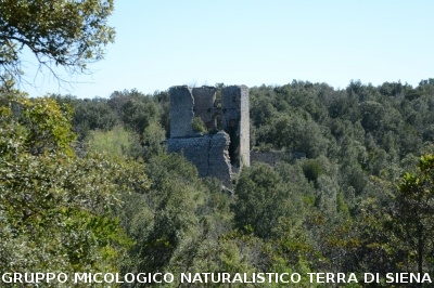 Escursione a Castelvecchio di San Gimignano