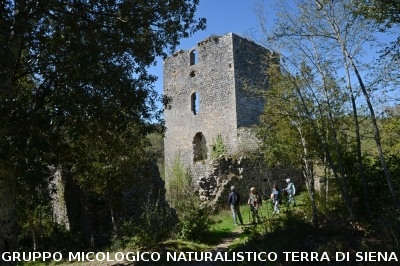 Escursione a Castelvecchio di San Gimignano