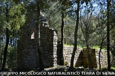 Escursione a Castelvecchio di San Gimignano
