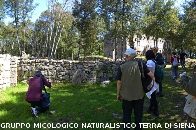 Escursione a Castelvecchio di San Gimignano