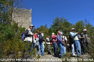 Escursione a Castelvecchio di San Gimignano
