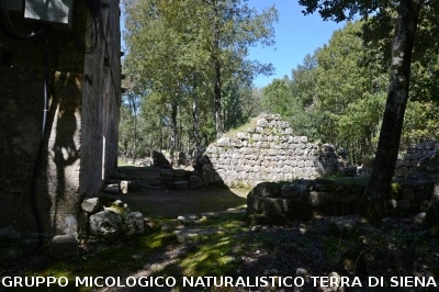 Escursione a Castelvecchio di San Gimignano