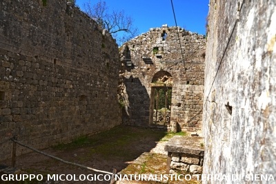 Escursione a Castelvecchio di San Gimignano