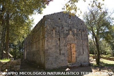 Escursione a Castelvecchio di San Gimignano
