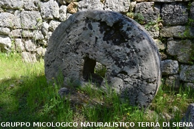 Escursione a Castelvecchio di San Gimignano