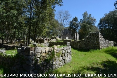 Escursione a Castelvecchio di San Gimignano