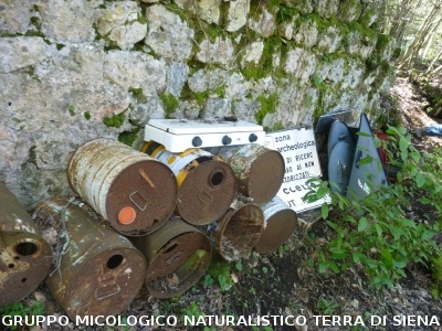 Escursione a Castelvecchio di San Gimignano