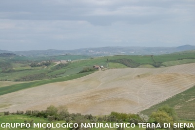 San Leonina e Mucigliani