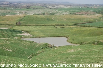 San Leonina e Mucigliani