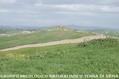 San Leonina e Mucigliani