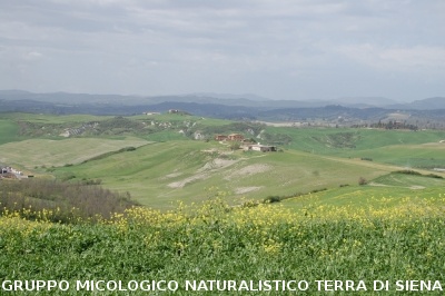 San Leonina e Mucigliani