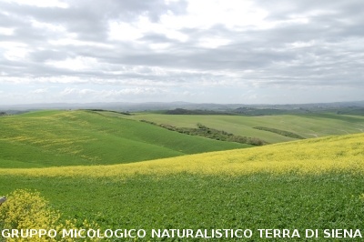 San Leonina e Mucigliani