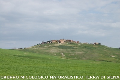 San Leonina e Mucigliani