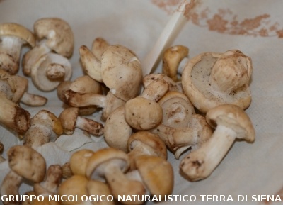 Alle Balze di Verghereto per il 