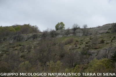 Alle Balze di Verghereto per il 
