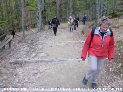 Alle Balze di Verghereto per il 