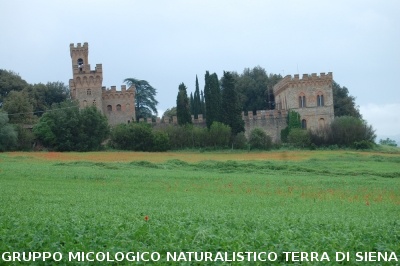 Escursione naturalistica alla Befa