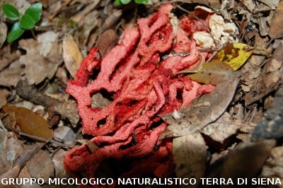 Escursione naturalistica alla Befa