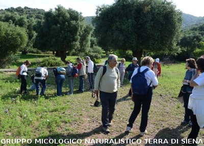 Passeggiata nel Parco dell'Uccellina