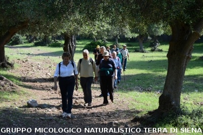 Passeggiata nel Parco dell'Uccellina