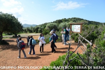 Passeggiata nel Parco dell'Uccellina