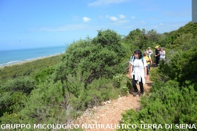 Passeggiata nel Parco dell'Uccellina