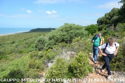 Passeggiata nel Parco dell'Uccellina