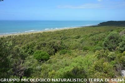 Passeggiata nel Parco dell'Uccellina