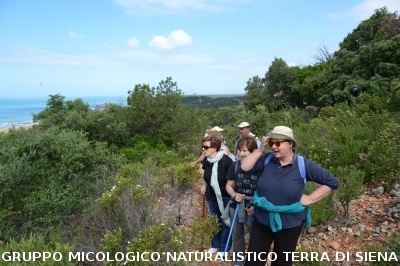 Passeggiata nel Parco dell'Uccellina