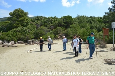 Passeggiata nel Parco dell'Uccellina