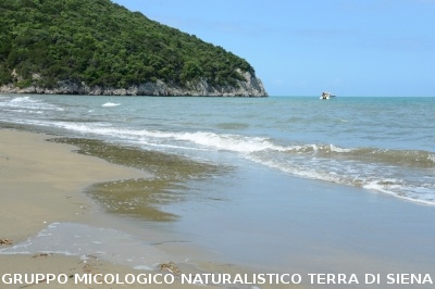Passeggiata nel Parco dell'Uccellina