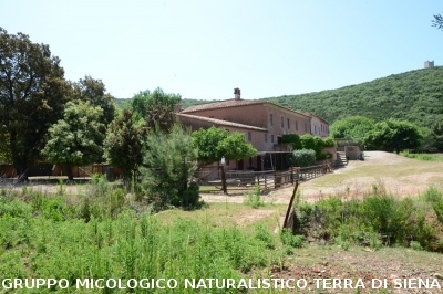 Passeggiata nel Parco dell'Uccellina