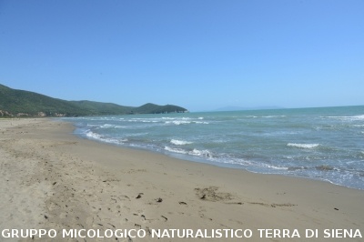 Passeggiata nel Parco dell'Uccellina