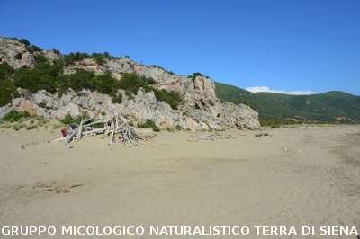 Passeggiata nel Parco dell'Uccellina
