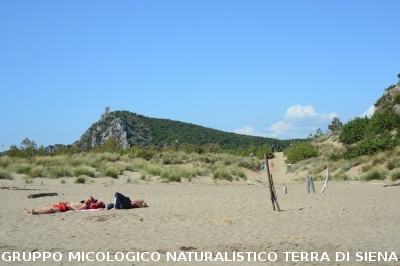 Passeggiata nel Parco dell'Uccellina