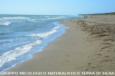 Passeggiata nel Parco dell'Uccellina