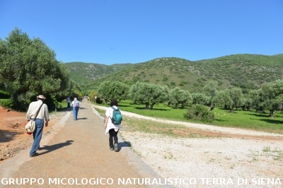 Passeggiata nel Parco dell'Uccellina