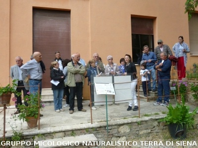 Fra le piante dell'Orto Botanico di Siena