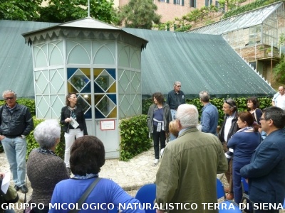 Fra le piante dell'Orto Botanico di Siena