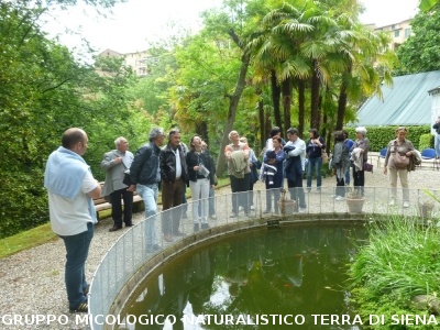 Fra le piante dell'Orto Botanico di Siena