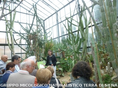 Fra le piante dell'Orto Botanico di Siena