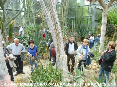 Fra le piante dell'Orto Botanico di Siena