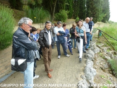 Fra le piante dell'Orto Botanico di Siena