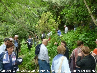 Fra le piante dell'Orto Botanico di Siena