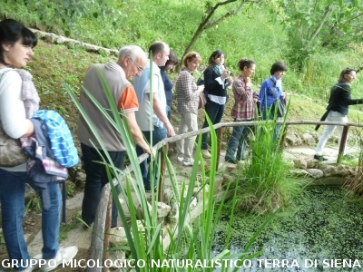Fra le piante dell'Orto Botanico di Siena
