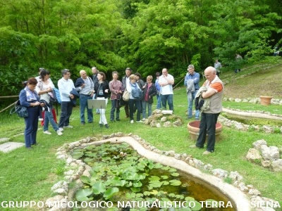 Fra le piante dell'Orto Botanico di Siena