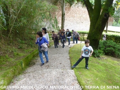 Fra le piante dell'Orto Botanico di Siena